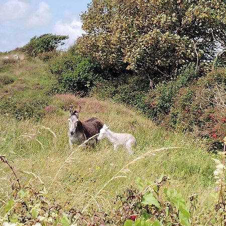 Ballyconneely House Голвей Екстер'єр фото