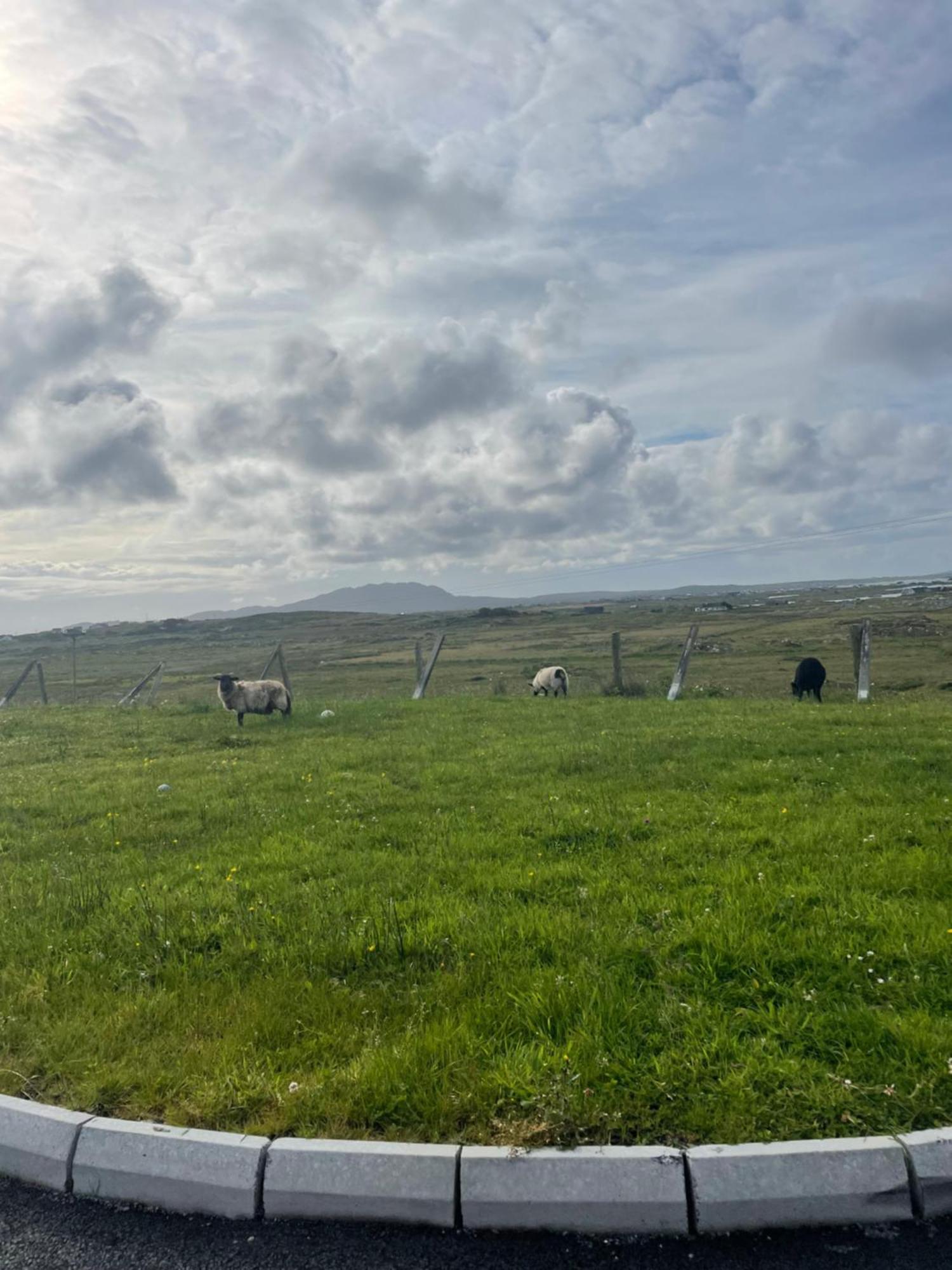 Ballyconneely House Голвей Екстер'єр фото